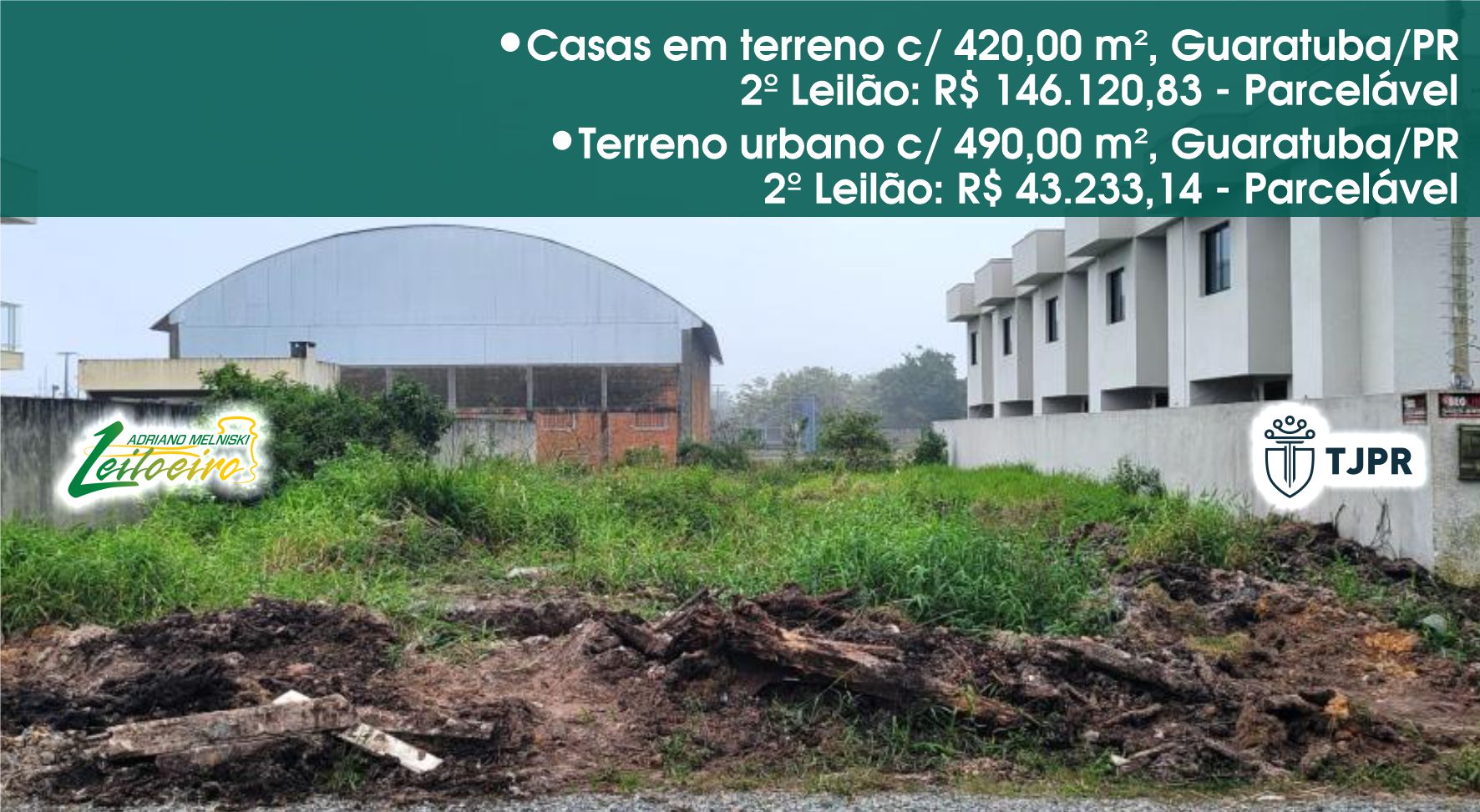 AMLeiloeiro