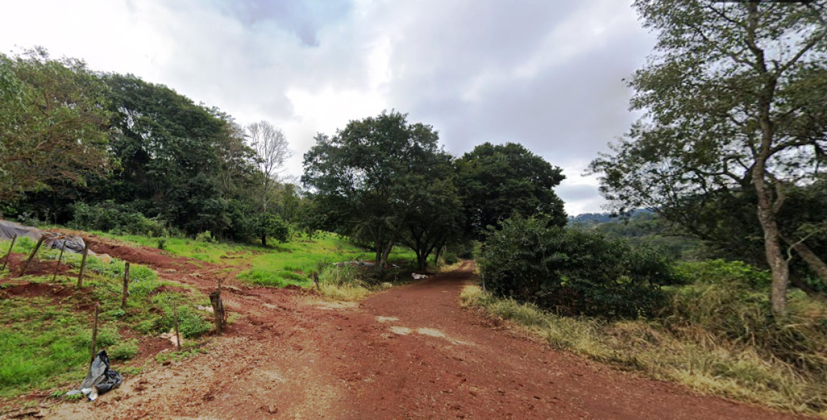 Fazendas Lote 1 - Cód. #271.1